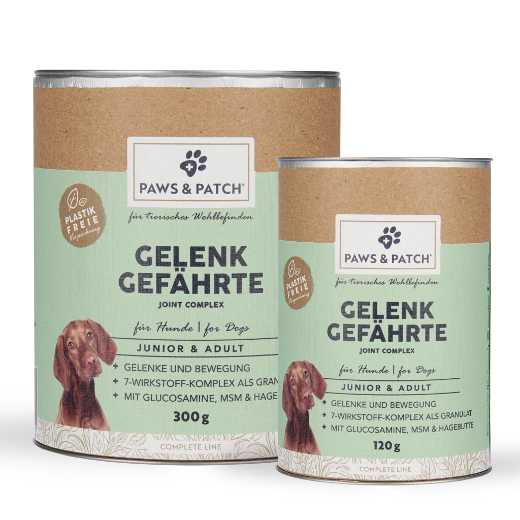Gelenke